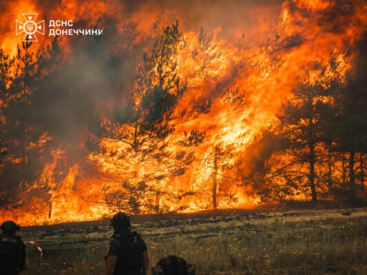 На Донеччині через ворожі обстріли горить понад 1100 гектарів лісу (фото)