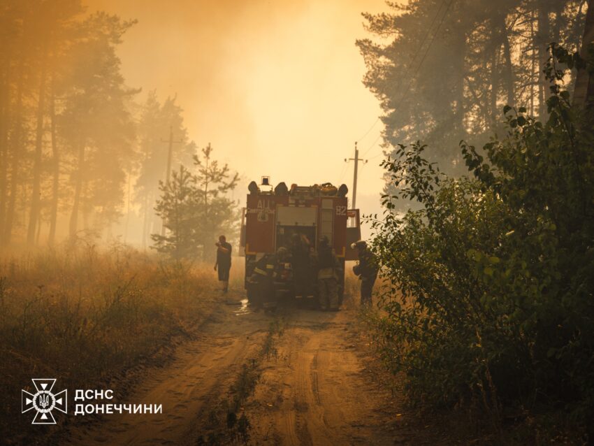 На Донеччині через ворожі обстріли горить понад 1100 гектарів лісу (фото)