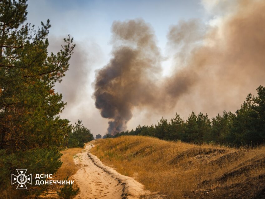 На Донеччині через ворожі обстріли горить понад 1100 гектарів лісу (фото)