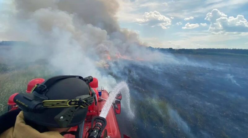 Окупанти знищили на Донеччині чотири гектари врожаю (фото)