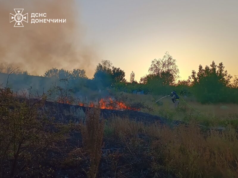 Рятувальники на Донеччині загасили пожежі: вигоріло вісім гектарів сухої трави (фото)