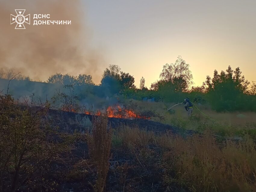 Рятувальники на Донеччині загасили пожежі: вигоріло вісім гектарів сухої трави (фото)