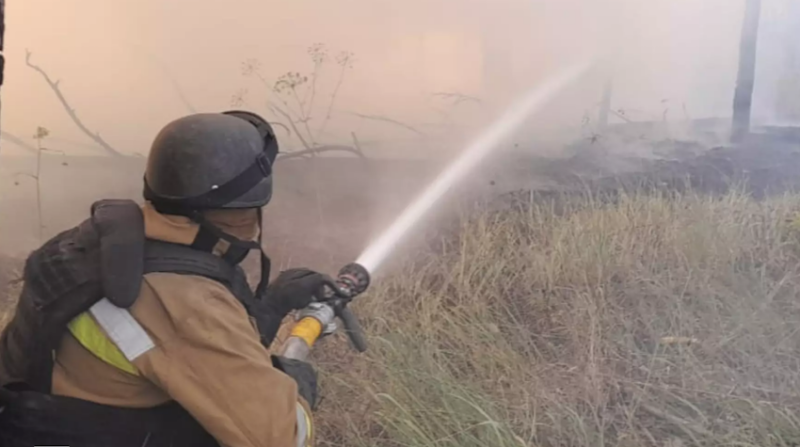 Через ворожі обстріли на Донеччині сталися три лісові пожежі (фото)
