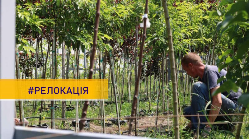 «Еко-Країна»: бізнес із Донеччини релокували на Київщину та розвивають нові проєкти