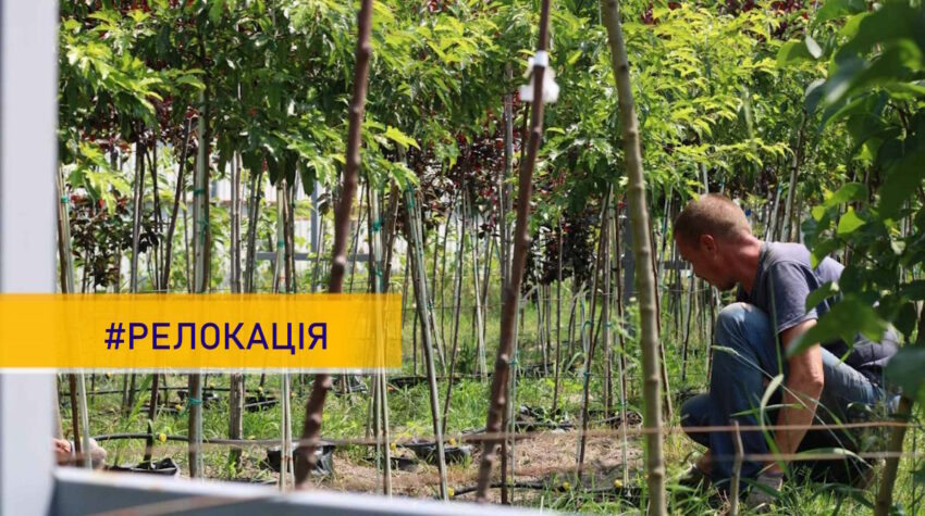 «Еко-Країна»: бізнес із Донеччини релокували на Київщину та розвивають нові проєкти