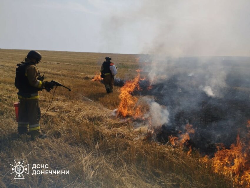 Горіли ліси, очерет та сухостій: на Донеччині за добу погасили пожежі на понад 190 гектарах (фото)