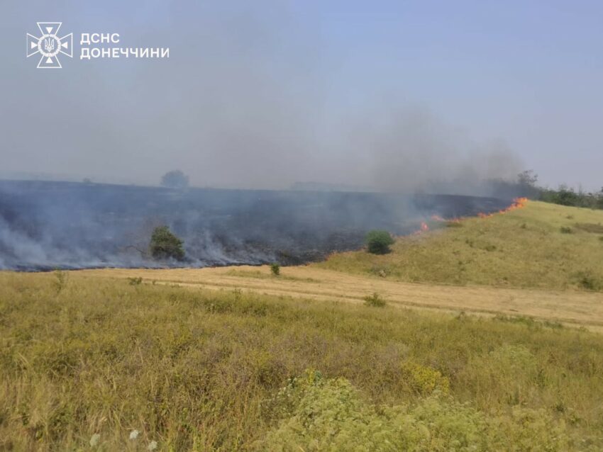 Горіли ліси, очерет та сухостій: на Донеччині за добу погасили пожежі на понад 190 гектарах (фото)