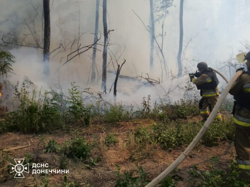 Горіли ліси, очерет та сухостій: на Донеччині за добу погасили пожежі на понад 190 гектарах (фото)