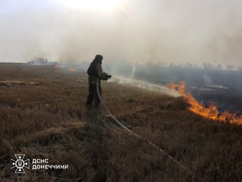 Горіли ліси, очерет та сухостій: на Донеччині за добу погасили пожежі на понад 190 гектарах (фото)