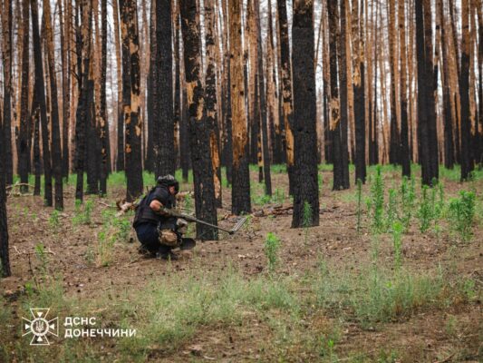 На Донеччині піротехніки ДСНС знешкодили 115 вибухонебезпечних предметів за добу