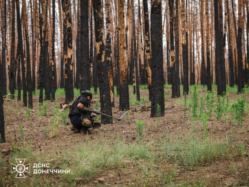 На Донеччині піротехніки ДСНС знешкодили 115 вибухонебезпечних предметів за добу