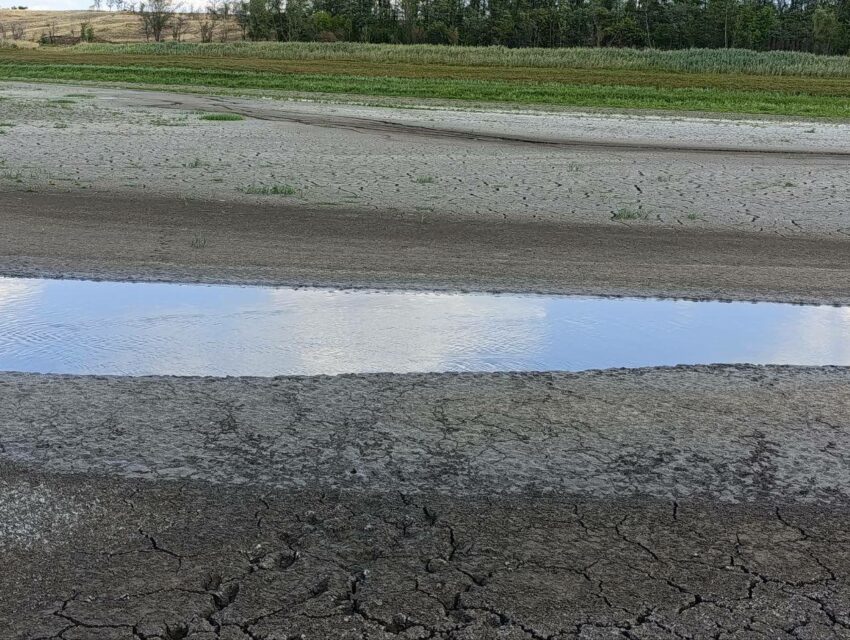 У Маріуполі обміліло Старокримське водосховище (фото)
