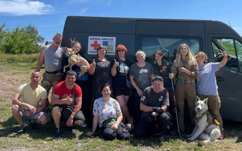 У Лимані та Дружківці безплатно працюватиме команда ветеринарів зі США, Німеччини та України