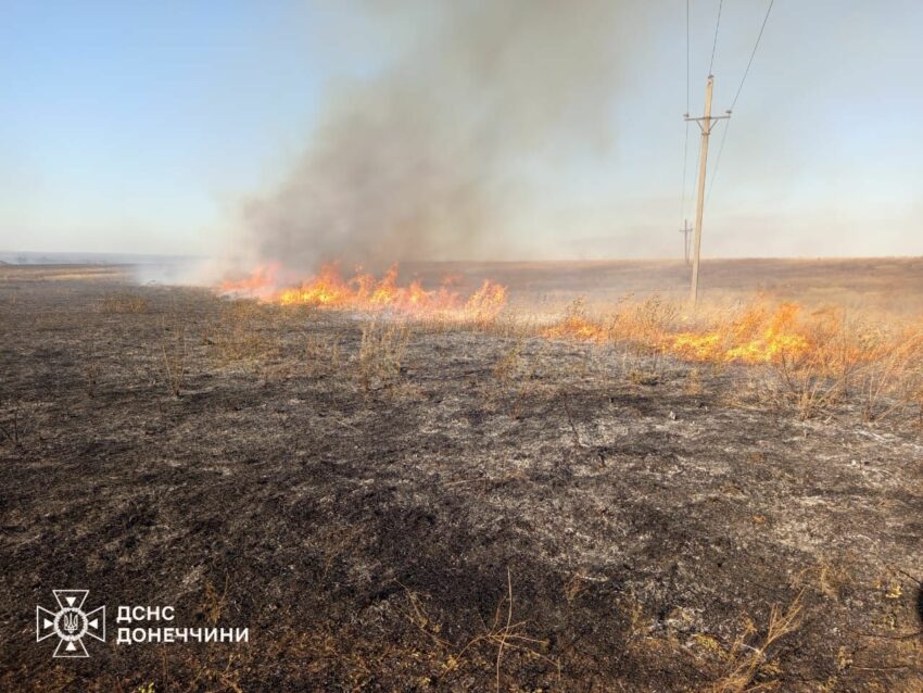 На Донеччині горіли п’ять громад: рятувальники загасили 13 пожеж (фото)