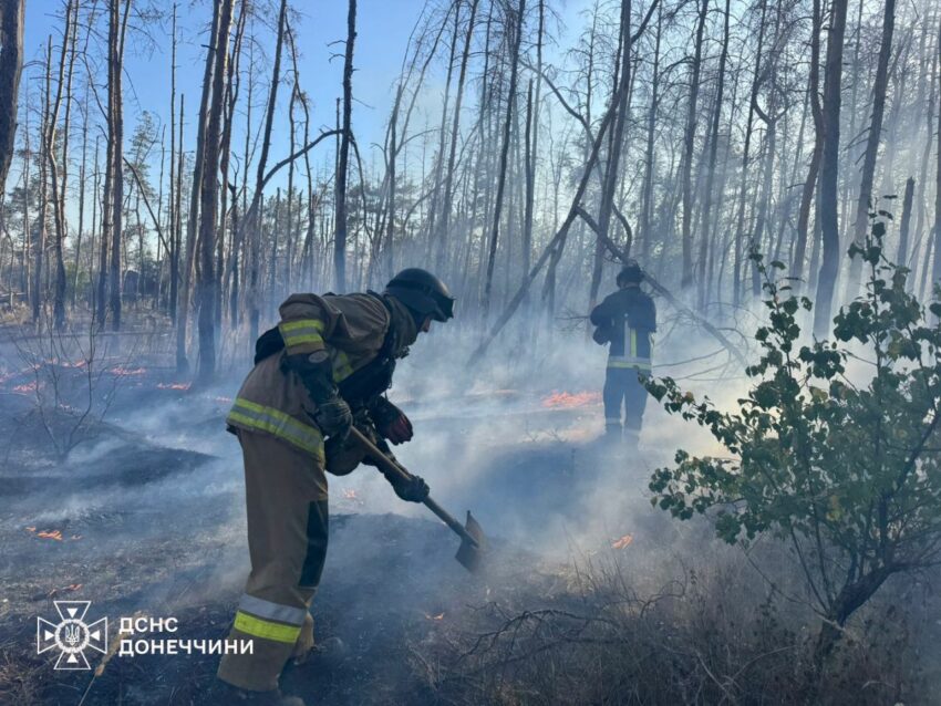 На Донеччині горіли п’ять громад: рятувальники загасили 13 пожеж (фото)