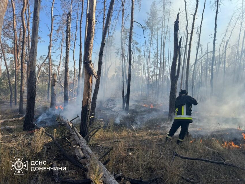 На Донеччині горіли п’ять громад: рятувальники загасили 13 пожеж (фото)