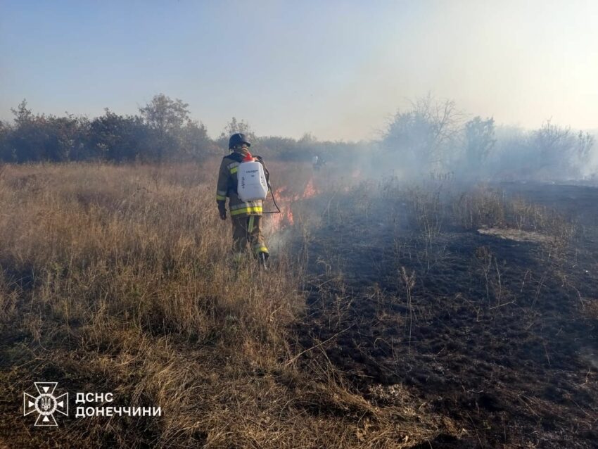 На Донеччині горіли п’ять громад: рятувальники загасили 13 пожеж (фото)