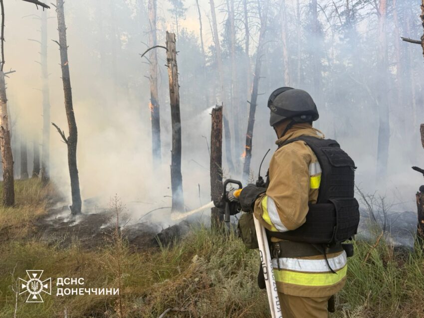 На Донеччині внаслідок обстрілів горіли шість гектарів лісу (фото)