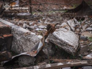 Піротехніки ДСНС розмінували 1,7 га території на Донеччині за добу - Фото №1