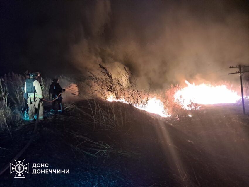 Горіли будинок та трава: рятувальники ліквідували дві пожежі на Донеччині (фото) - Фото №2