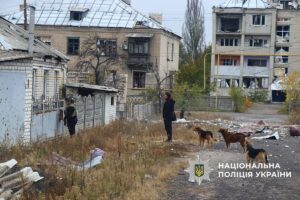 «Білі янголи» евакуювали літнє подружжя: жінка пройшла 16 км босоніж, тікаючи з-під обстрілів (відео) - Фото №2