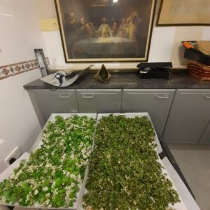 Мистецтво та хобі: як улюблена справа рятує переселенок з Донеччини від розпачу та допомагає армії - Фото №20