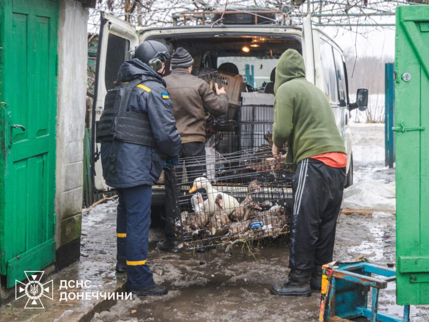 Разом із тваринами: рятувальники евакуювали останню жительку прифронтового села на Донеччині (відео) - Фото №1